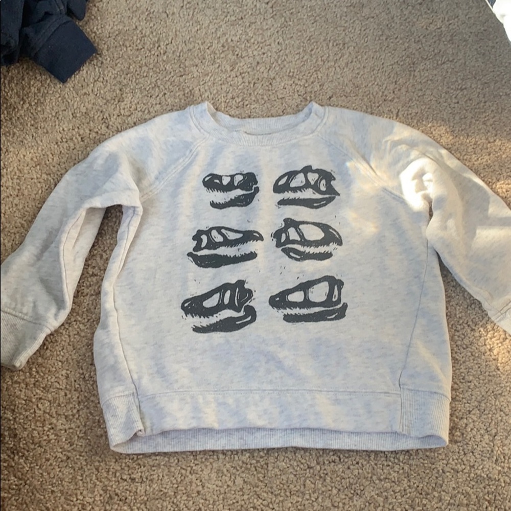 Dinosaur Crewneck Sweatshirt